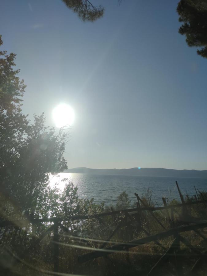 Civico 37 Villa Trevignano Romano Eksteriør bilde